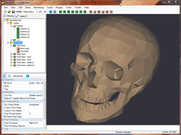 3D skull mesh 3DS model
